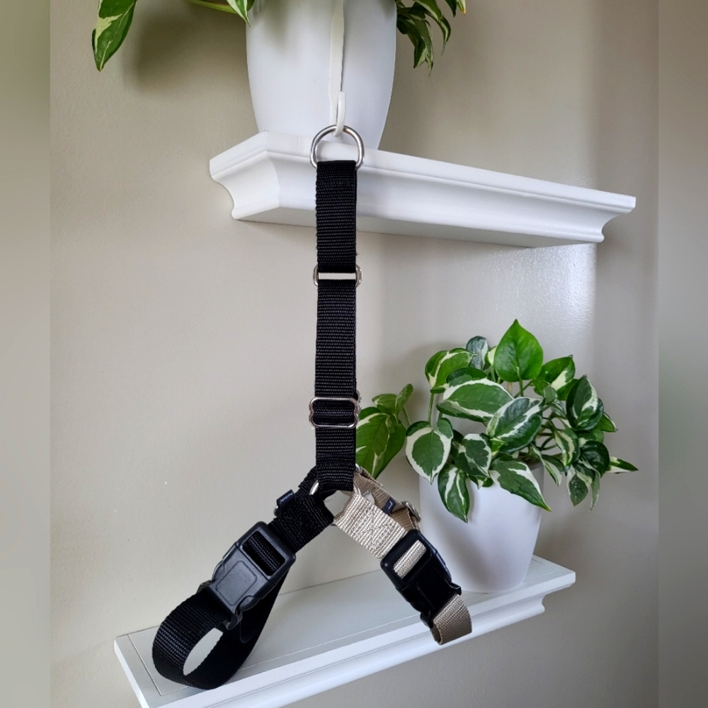 Easy Walk (large) dog harness